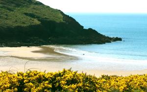 Castlemead Country House By The Sea