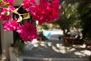 Esperides Hotel Lasithi Greece