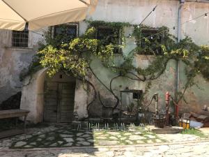 Appartement Mulberry Tree Vineyard house Svätý Jur Slowakije