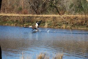 Mkomazana Mountain Cottages