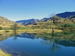 Mkomazana Mountain Cottages