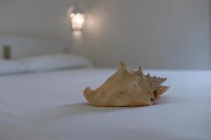 AndrewS home - Playita