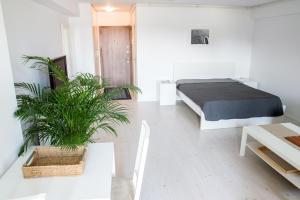 Airport Residence - 5 Mins from Airport