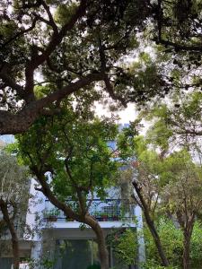 Sea-view maisonette at Sounio