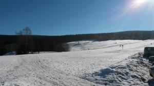 Ferienwohnung Harz
