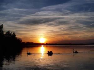 Pałac Heymanna - Oficyna