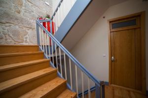 Cedofeita Back Garden