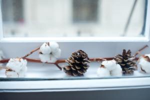 Green Door Family Apartment