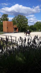 Lodges Le Manege de la Chapiniere - DadaLoge : photos des chambres