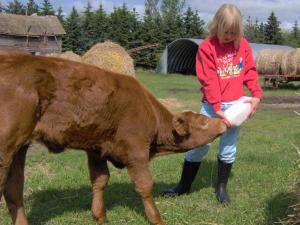 Fairmount Bed & Breakfast