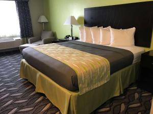King Room room in Best Western Mt. Vernon Inn