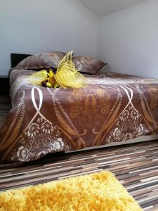 House Apartment Minerilor