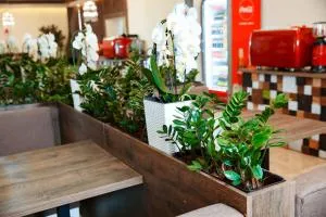 Coin Apartments & Poshtel - 切尔诺夫策