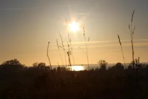 Agroturystyka Pod Kogutkiem - Retowo