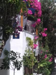 Doron Hotel Delfini Naxos Greece