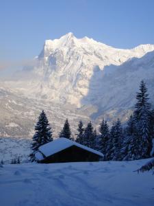 Chalet Asterix