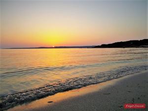 Pineta Spiaggia Grande 2 img43