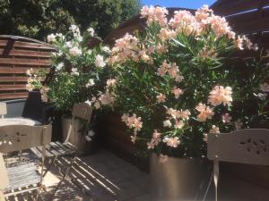 La Clef des Songes - Maison dHôtes au Calme, au Coeur de Sarlat, 2 minutes à pied de la Cité Médiévale - Climatisation - Petits Déjeuners fait Maison - Parking gratuit - Option Spa et Massages - Piscine de Saison à 400m