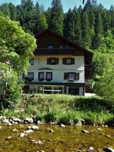 Ferienwohnungen in Schönmünzach