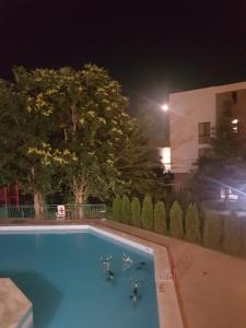 Complex Magnolia Inclusive