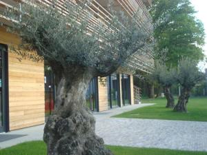 Hotels The Originals City, Hotel Anaiade, Saint-Nazaire (Inter-Hotel) : photos des chambres