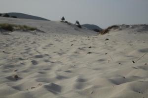 Casa vacanze Piscinas img17