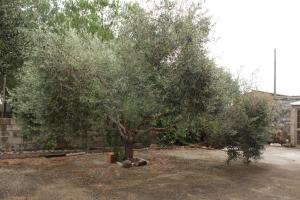 Casa vacanze Piscinas img18