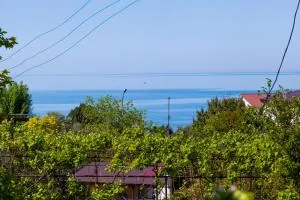 Guest House U Larisy - Tsandrypsh