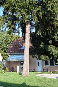 La Mia Casa Vendégház