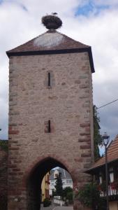 Maisons de vacances Gite Le Petit Moulin : photos des chambres