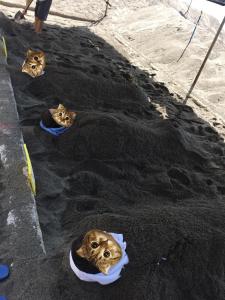 Ibusiki Chinese Minshuku