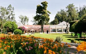 Savoy Hotel Ooty (11 of 136)