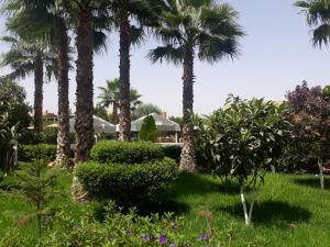 Almounia Hotel & Spa