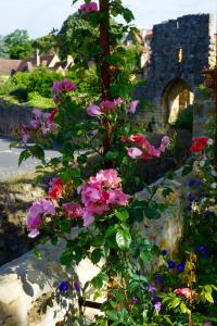 Maisons de vacances 1 Logis a Domme - Self-Catering House : photos des chambres