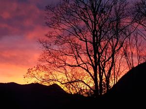 Hôtel Le Mont Jorat