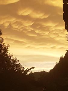 Hôtel Le Mont Jorat