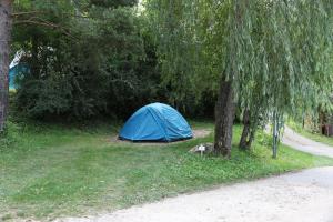 Campings Camping La Ferme de Castellane : photos des chambres