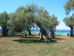 Villa Verde Blu Thassos Greece