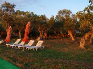 Villa Verde Blu Thassos Greece