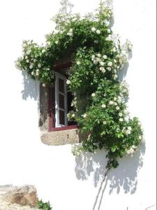 Casinha de Marvao Marvão