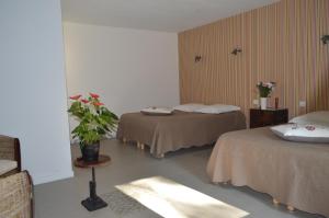 B&B / Chambres d'hotes Le Domaine des Gauliers : photos des chambres