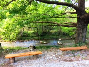 Andrea Sofi Guesthouse Arkadia Greece