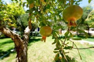 White Rock Apartments Samos Greece