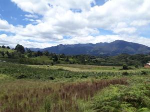 Jacamaki Nature GuestHouse en Villa de Leyva