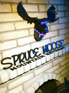 Spruce Moose Mtn Retreat w Sauna 11 Miles to World Class Ski