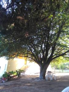Martha's Villa Kavala Greece