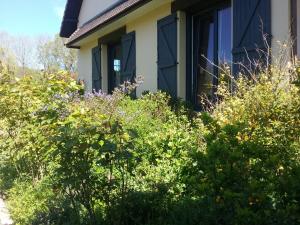 Maisons de vacances Le Bel Isle : photos des chambres