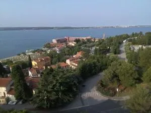 Apartments Leko - 波尔托罗