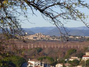 B&B / Chambres d'hotes Les Amandiers : photos des chambres