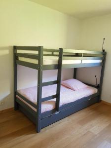 Appartements L'Alpage : photos des chambres